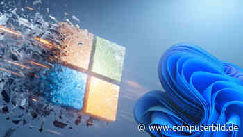Windows 11: Microsoft zieht die Notbremse für dieses Problem-Update