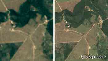 We’re creating a new satellite imagery map to help protect Brazil’s forests.