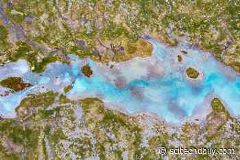Ancient Carbon Is Flooding Arctic Rivers As Permafrost Melts Faster