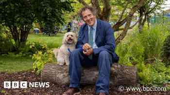 Battersea dogs enjoy ex-Chelsea Flower Show garden
