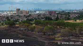 Wildfire warning issued over disposable barbecues