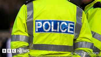 Man 'claimed to be officer before assaulting two teenagers'