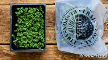 CFIA recalls Les Fermes Lufa microgreens sold in Quebec and Ontario