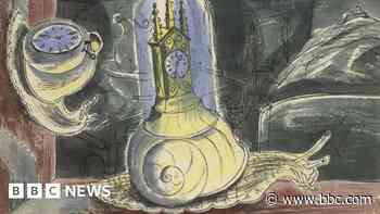 Fantastical snails on display for the first time