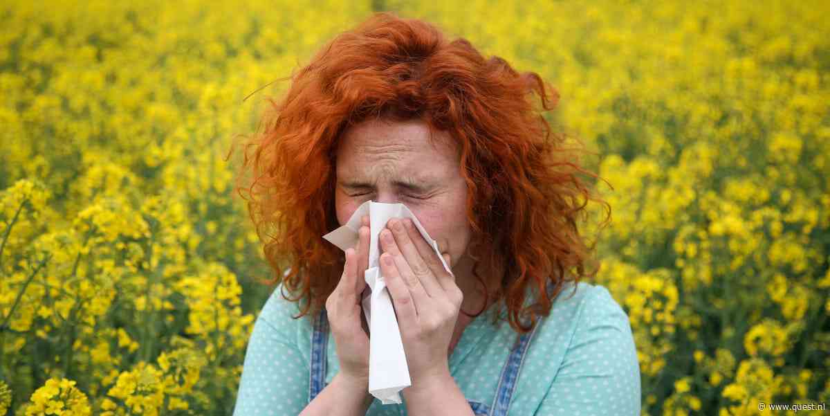 We zitten middenin een hooikoortspiek - kun je ook ook op latere leeftijd een allergie ontwikkelen?