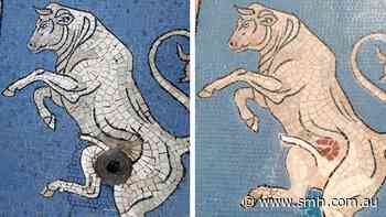 Restorer denies removing ‘lucky’ testicles from Milan bull mosaic