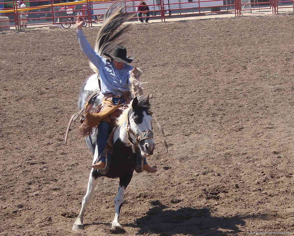 Grande Prairie Stompede Day 2: Vigen posts fastest time