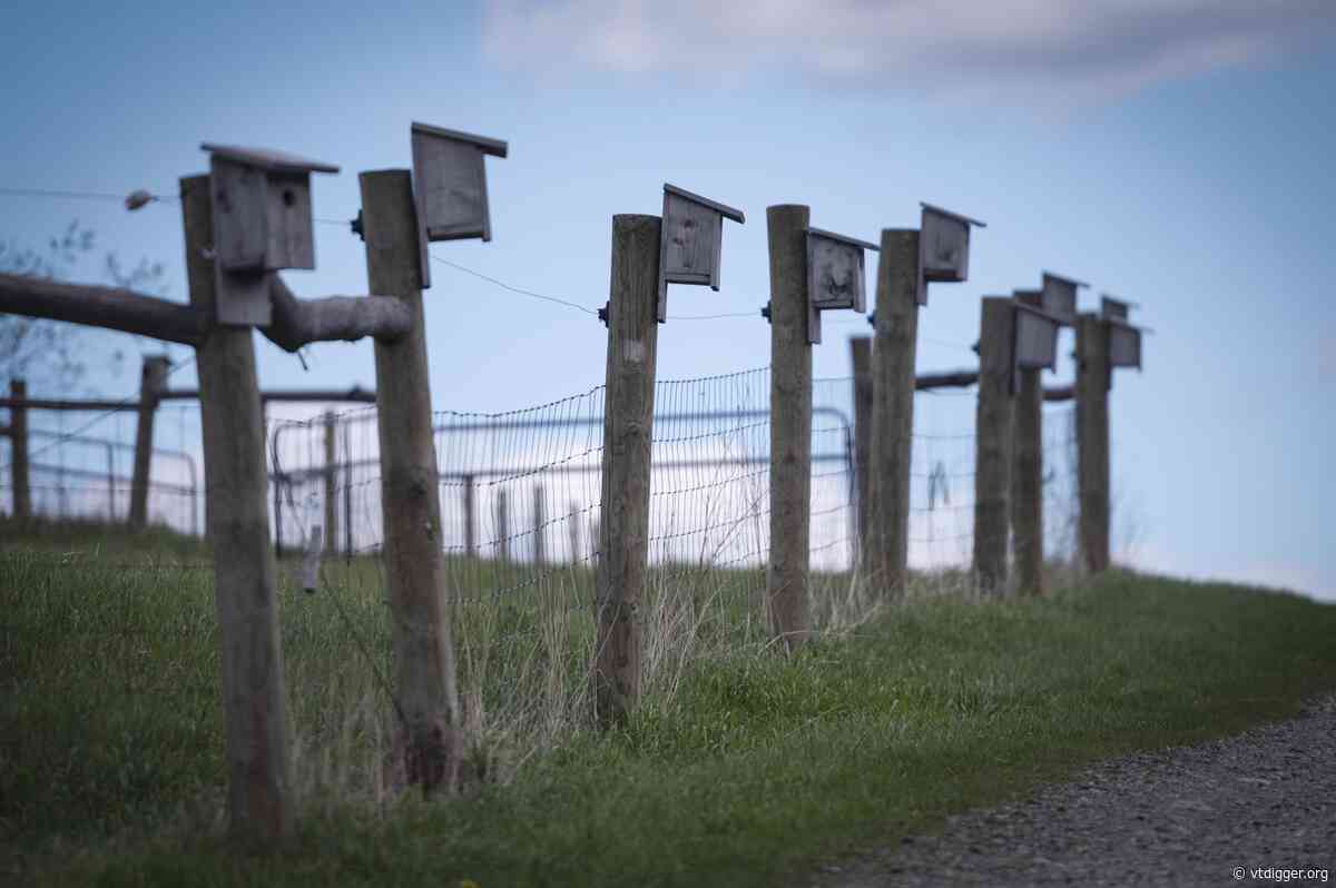 As Vermont is a key link in global species movement, state and partners build out conservation networks and wildlife passages