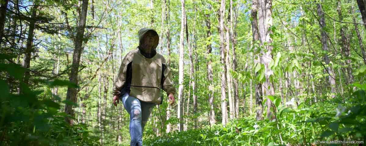 It’s possible to camp comfortably with bugs