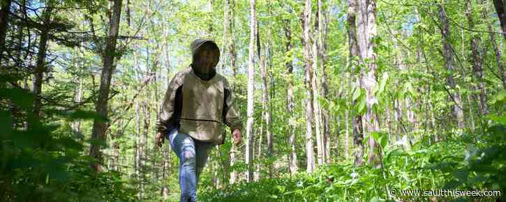 It’s possible to camp comfortably with bugs