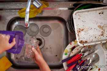 A Company Will Clean Your Nasty Apartment For Free if You Let Them Record It