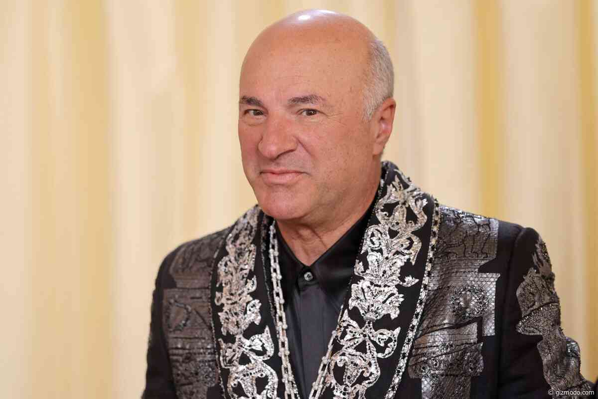 Shark Tank Star Is Fighting Phantom Bots While Utah Locals Fight His Data Center