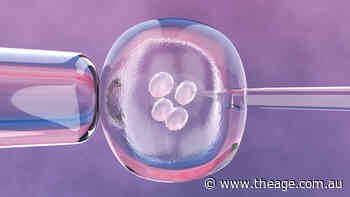 IVF clinics face stricter standards, threat of bans following embryo bungles