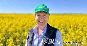 'Significant' GRDC nitrogen investment welcomed by efficiency-seeking growers
