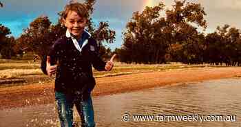 Storm brings rain and pasture relief but water still an issue for WA farms