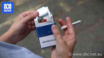 ABS estimates 80pc of tobacco consumed in Australia last year was illegally sourced