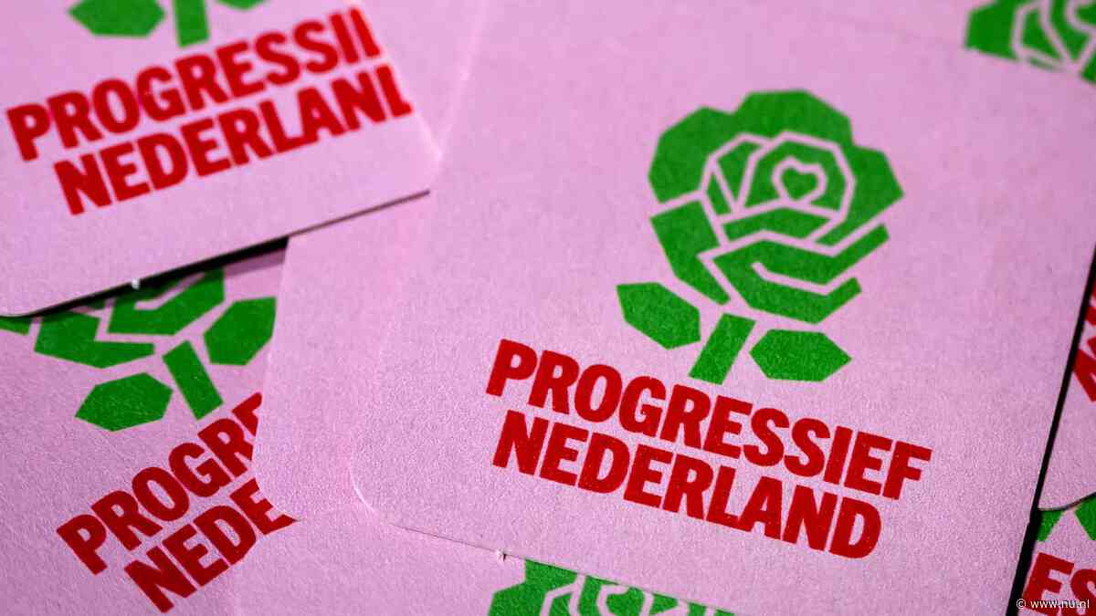 Raad van State keurt naamswijziging GL-PvdA goed in zaak lokale Pro-partijen