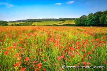 Defra confirms first SFI26 window to open from 30 June