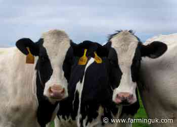 First Milk launches water quality strategy across 700 farms