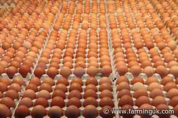 Egg processors warn Iran conflict is driving up costs