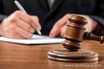 Cornish dairy farmer banned from keeping livestock