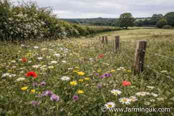 Advisers warn farmers to fix RPA data before SFI rush