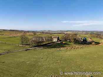 329-acre County Durham livestock farm hits market for £2.25m