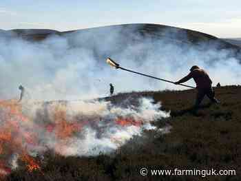 Farmers and firefighters halt major Pentland wildfire threat