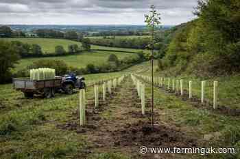 RPA sets out 2026 Capital Grants rules as farmers told to get ready