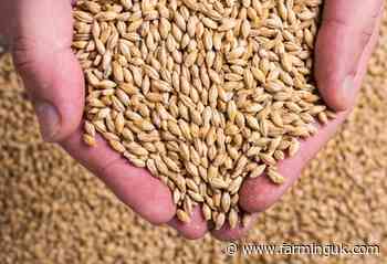 Whisky demand slowdown hits Scottish barley growers