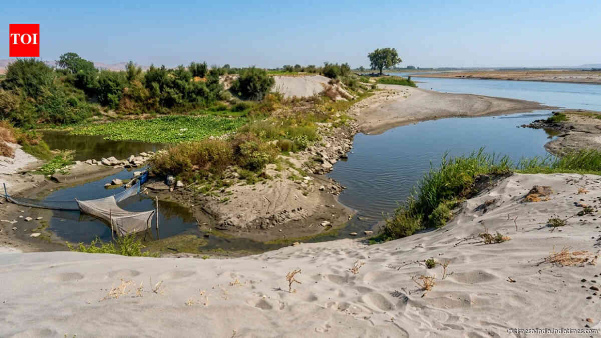 Why Yamuna is now brownish narrow stream