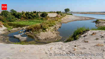 Why Yamuna is now brownish narrow stream