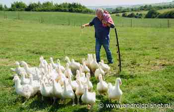 Deze series en films ga je deze week streamen: Clarkson’s Farm gaat All In