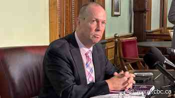 Auditor general critical of N.B. Power’s ‘haphazard’ gas plant decision process