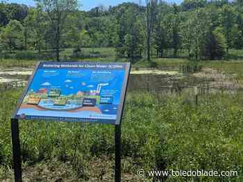 Ohio adds another 16 acres of wetlands to watershed inventory