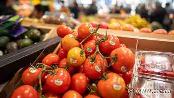 Did Trump take tomato? Here's what's behind the latest grocery price sticker shock