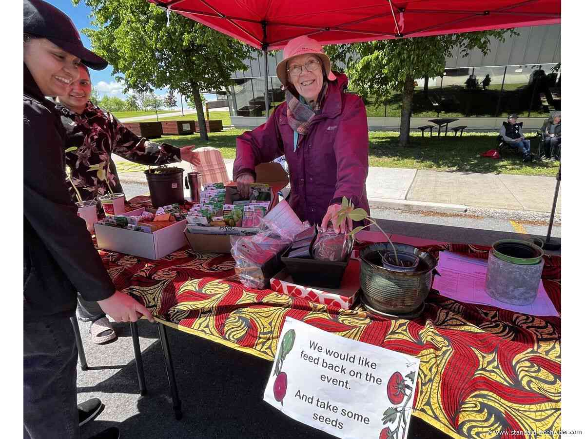 Big turnout for 2026 Incredible Edible Plant Festival in Cornwall