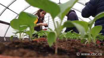 Women in farming more vulnerable to mental-health struggles and stress, Guelph study finds