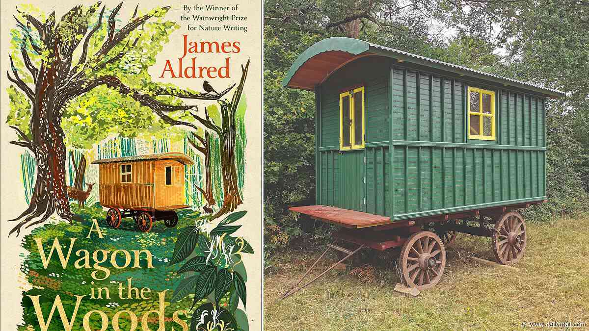 'An Enid Blyton adventure story for grown-ups' - James Aldred has built his own patch of paradise in the New Forest complete with streams, otters and a hundred-year-old Romany Wagon