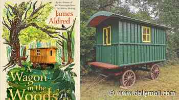 'An Enid Blyton adventure story for grown-ups' - James Aldred has built his own patch of paradise in the New Forest complete with streams, otters and a hundred-year-old Romany Wagon