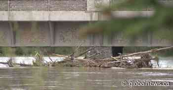 With days of heavy rain in the forecast, southern Alberta prepares for flooding