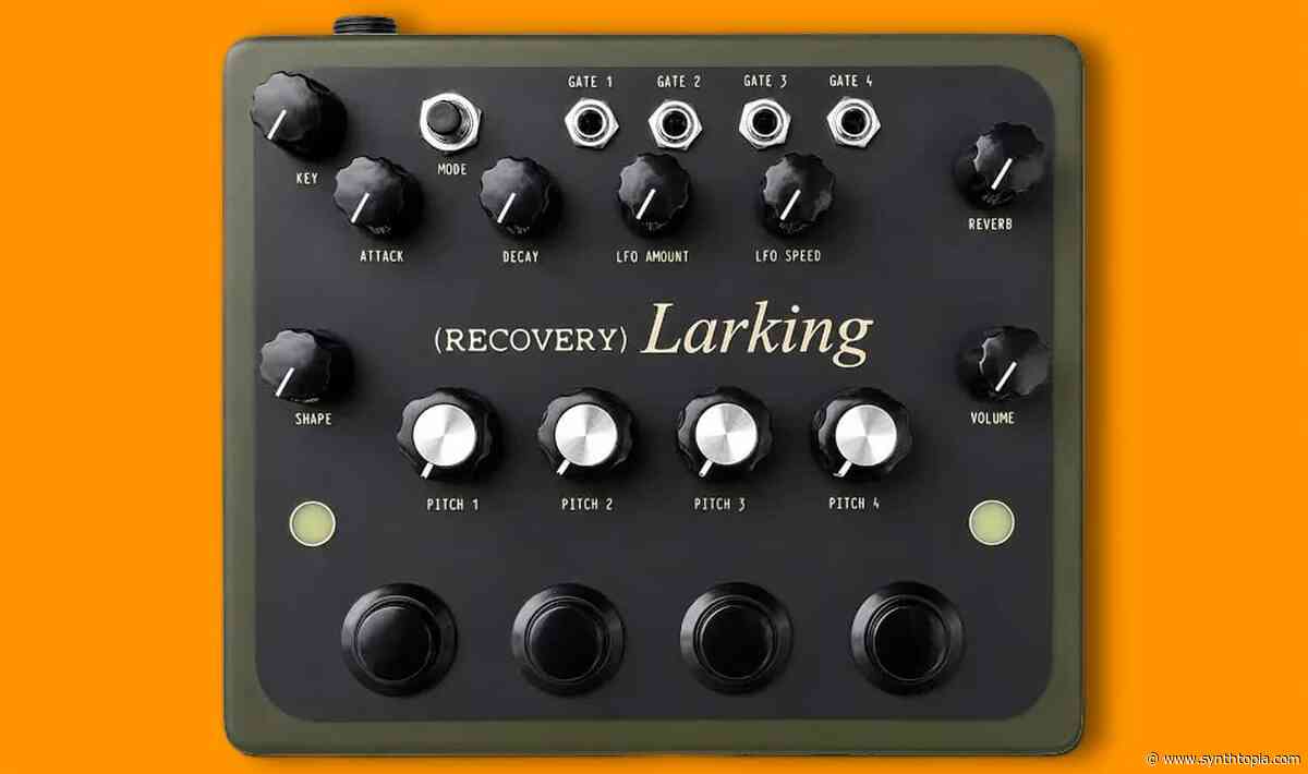 Recovery Effects & Devices Larking Ambient Drone Synthesizer