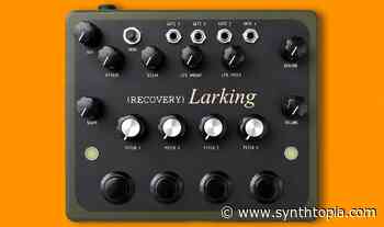 Recovery Effects & Devices Larking Ambient Drone Synthesizer