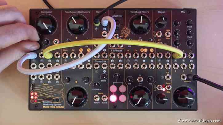 Make Your Own Disintegration Loops With The Music Thing Modular Workshop System