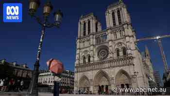 Why the 'dig of the century' is happening underneath Notre Dame