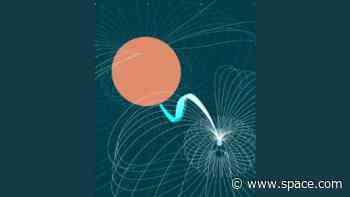 Scientists locate source of mysterious radio signals after 20 year search: A vampire star and its victim