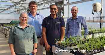 As inputs rise, chickpeas present as a low-N alternative with solid profits
