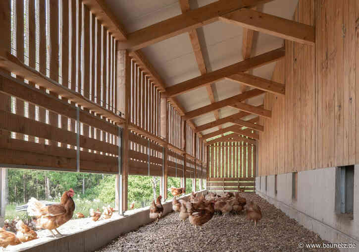 Kärntner Hühner-Loft - Stallgebäude von Hohengasser Wirnsberger Architekten