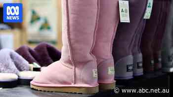 Sheepskins go from being worthless to in demand in a year