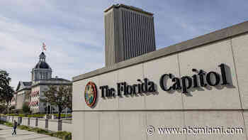 Florida Legislature approves property tax cut proposal for November ballot